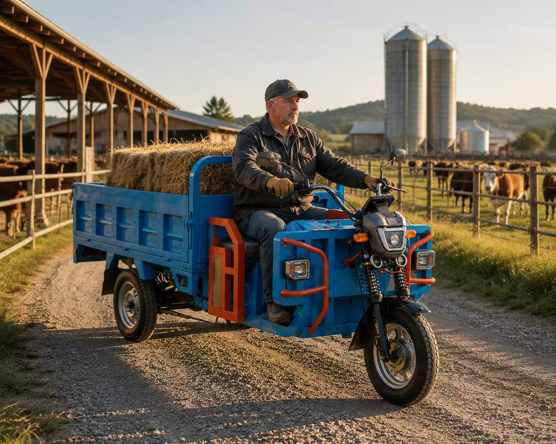Small Electric Dump Truck for Daily Hauling