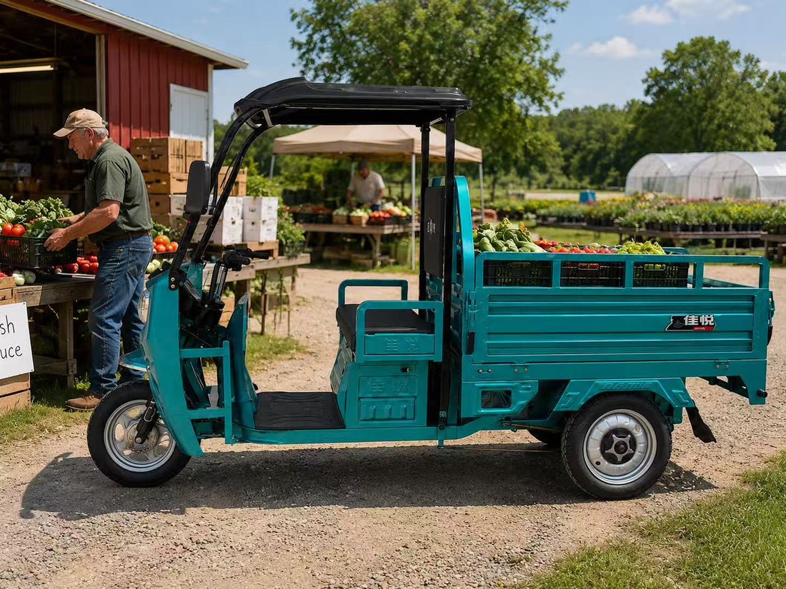 Open or Canopy Cargo Trike?