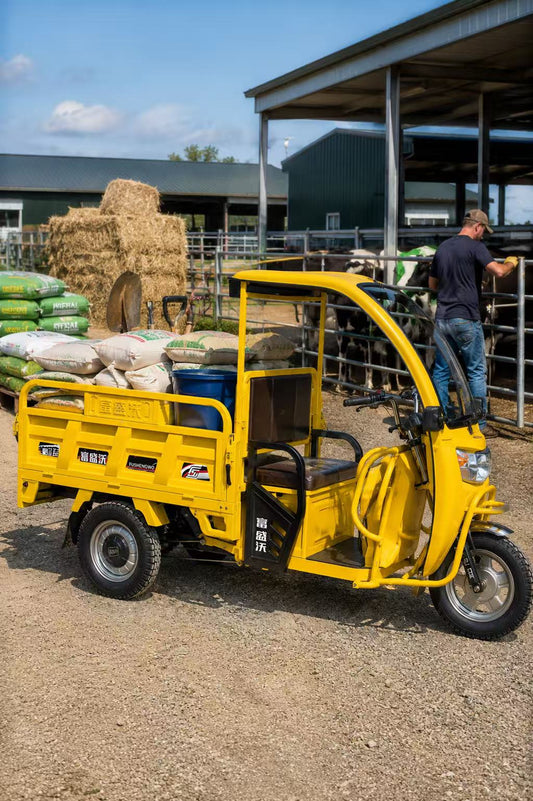 Electric 3 Wheel Farm Utility Vehicle