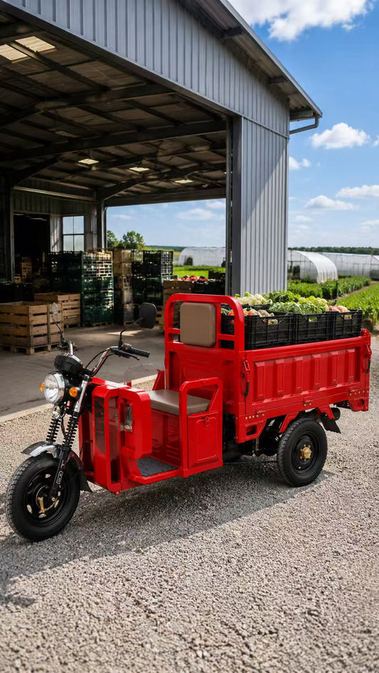 Farm Cargo Trike for Agricultural Transport