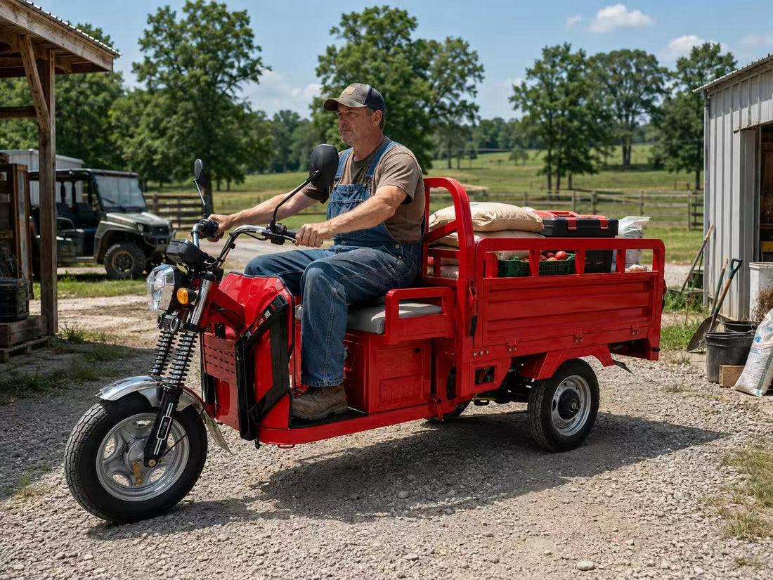 Lower-Cost UTV Alternative