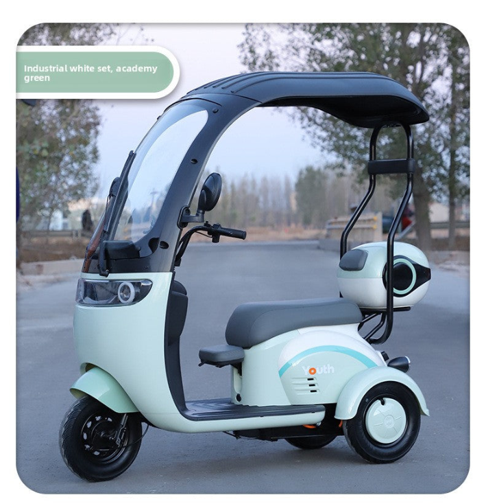 Electric leisure tricycle