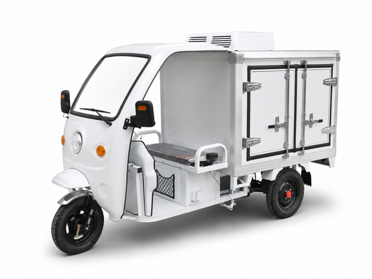 Electric Refrigerated Freezer Cargo Trike