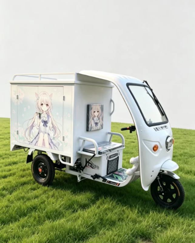 Express delivery tricycle