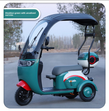 Electric leisure tricycle