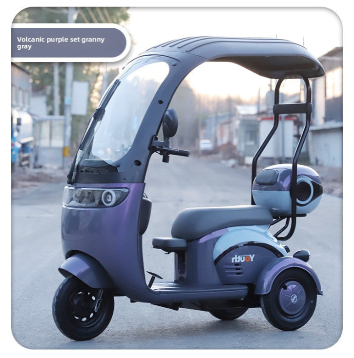 Electric leisure tricycle