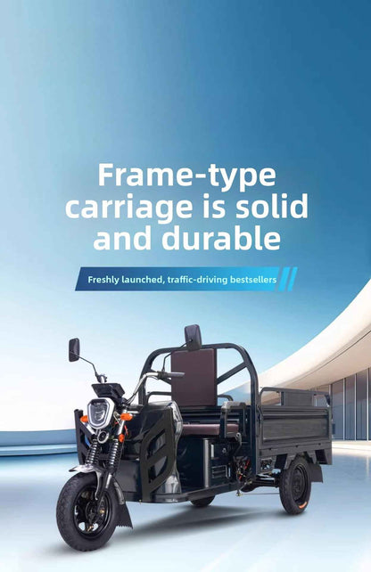 Cargo electric tricycle