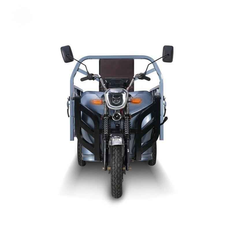 Cargo electric tricycle