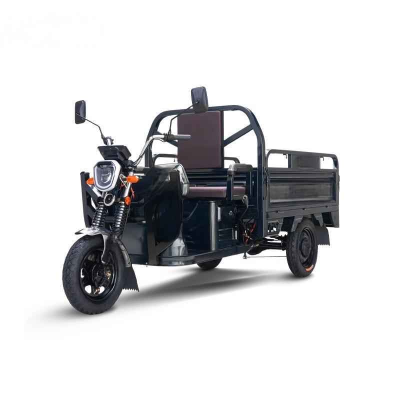 Cargo electric tricycle