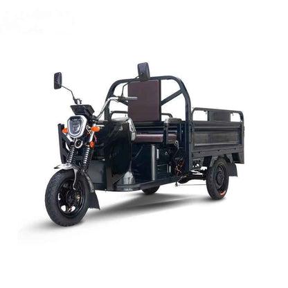 Cargo electric tricycle