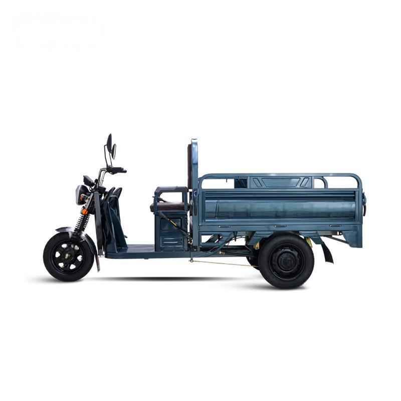 Cargo electric tricycle