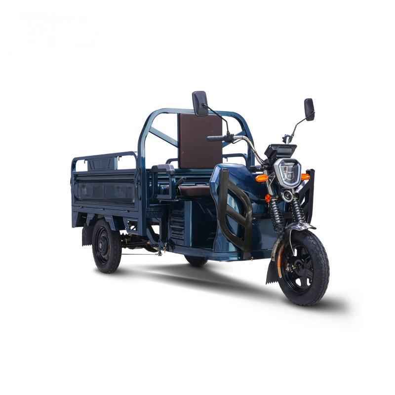 Cargo electric tricycle